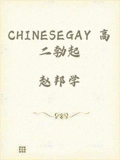 CHINESEGAY 高二勃起